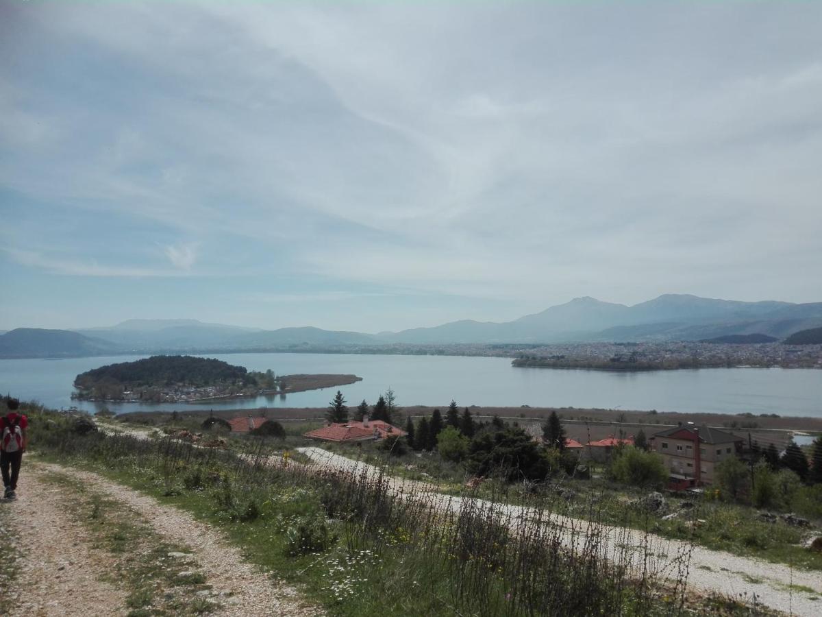 House With View In Amfithea Apartment Ioannina Exterior photo