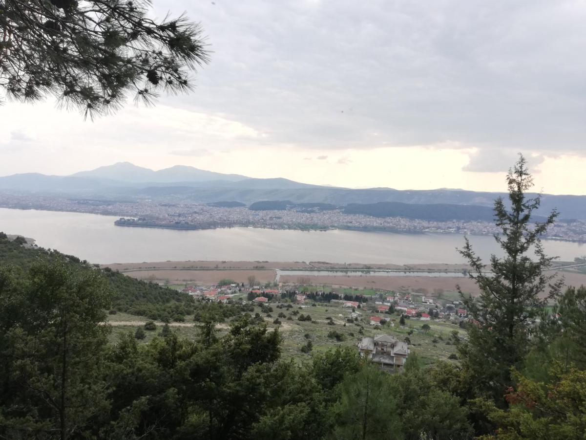 House With View In Amfithea Apartment Ioannina Exterior photo