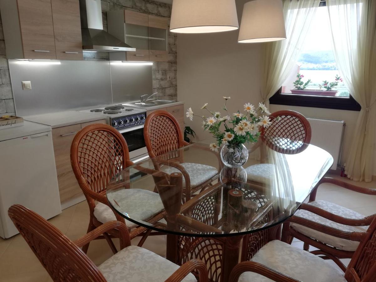 House With View In Amfithea Apartment Ioannina Exterior photo